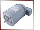 Electric Motor