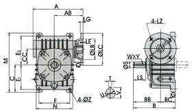 speed reducer